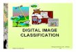 Digital image classification