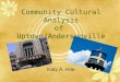 Katy Hite - Community Cultural Analysis