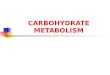 Dr.ehab   carbohydrate metabolism-2
