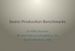 Dr. Mike Brumm - Swine Production Benchmarks