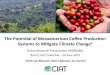 Henk van Rikxoort - The Potential of Mesoamerican Coffee Production Systems to Mitigate Climate Change