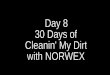 Day 8 (30 Days of Cleanin' My Dirt with NORWEX)