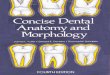 Concise dental anatomy_and_morphology