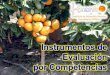 Instrumentos de Evaluacion IESTP Huando