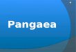 Pangaea.presentation shaina