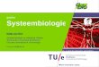 Gastles op VWO over Systeembiologie en Biomedische Technologie aan de TU/e