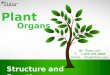 Plant Organs
