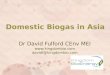 Domestic biogas in asia1