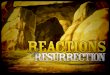 Reactions To The Resurrection