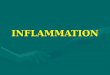 Inflammation Lab Slides