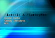 Sarcoidosis & Fibrocytes