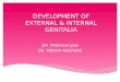 Development of external & internal genitalia by Dr.Preksha