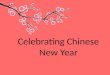 Celebrating chinese new year