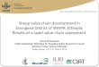 Sheep value chain development in Doyogena District of SNNPR, Ethiopia: Results of a rapid value chain assessment