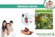 Terminalia arjuna benefits for heart disease