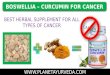 Boswellia Curcumin and Cancer Herbal Treatment