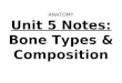 Anatomy unit 5 skeletal and muscular systems bone types and composition