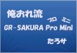 俺おれ流、GR-SAKURA Pro Mini