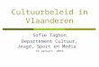 Cultuurbeleid in Vlaanderen Dep CJSM