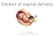 Conduct of vaginal delivery