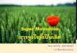 Super motivation 1