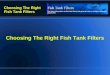 Choosing the right fish tank filters