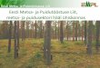 Eesti Metsa- ja Puidutööstuse Liidu tutvustus