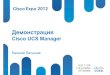 Система управления Cisco Unified Computing Systems Manager