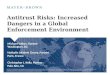 Antitrust risks   increased dangers in a global enforcement environment