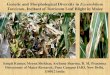 S2.4. Genetic and Morphological Diversity in Exserohilum Turcicum, Incitant of Turcicum Leaf Blight in Maize
