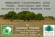 Lucrezia Tincani - Adaptable Livelihoods: wild foods, resilience and food security in rural Burkina Faso