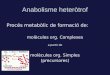 Anabolisme heteròtrof