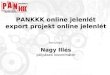 Pankkk online koncepció 2010