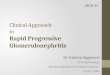 Approach to Rapidly Progressive Glomerulonephritis RPGN
