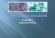 Cryptosporidium presentation