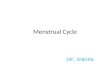 Menstrual cycle ppt nitin