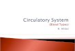 Circulatory System (Blood Types)