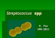 C 6-gc3a9nero-streptococcus
