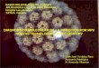 DiagnóStico Molecular De La InfeccióN Por Hpv