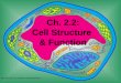 Cell structure function 2.2(k)
