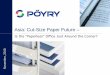 Poyry Asia Cut Size Paper Report