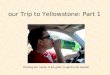 Our trip to Yellowstone