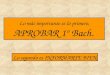 Info para 1º bach. Estructura de 2º Bach y PAU
