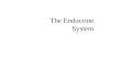 16   endocrine system simple