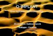 Q-IMPLANT Surgical-LINE