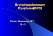 Broncho Pulmonary Dysplasia