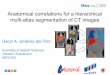 Anatomical correlations for a hierarchical multi-atlas segmentation of CT images
