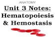 Anatomy unit 3 cardio and respiratory system hematopoiesis and hemostasis notes