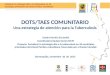 DOTS/TAES COMUNITARIO. Una estrategia de atención para la Tuberculosis