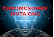 5. chromosom mutations